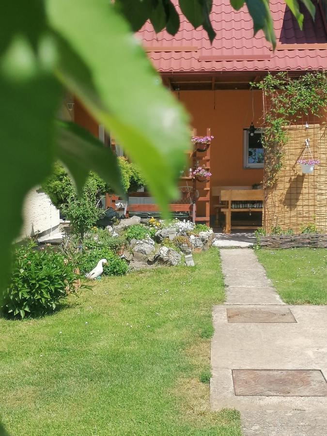Studio Apartman Krosna Perusic Exterior foto